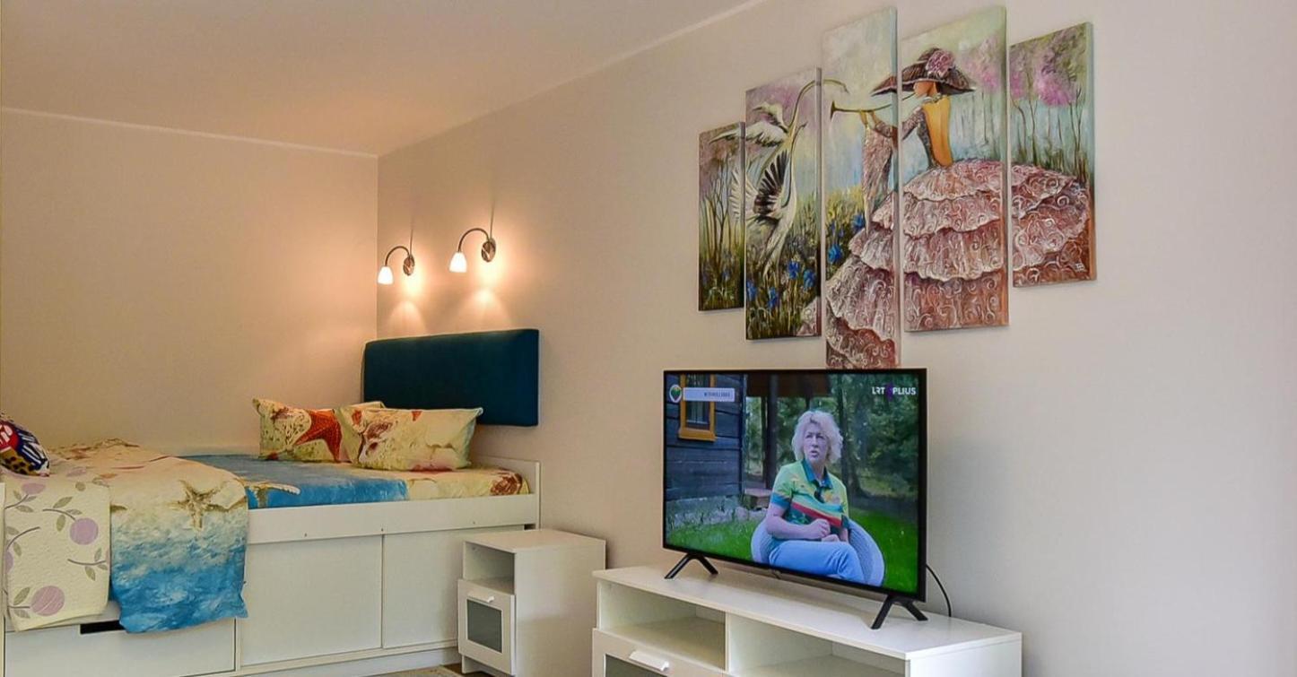Stilingi Apartamentai Su Virtuve Traku Miesto Centre Тракай Экстерьер фото